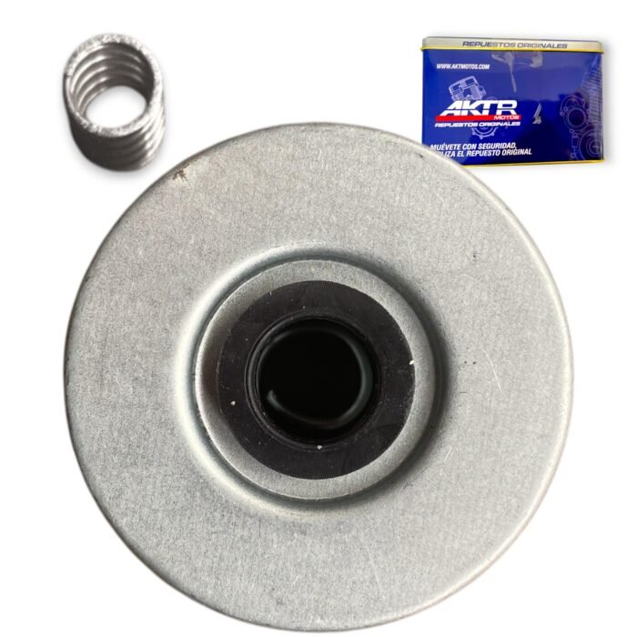 Filtro Aceite 300DsAcRally250Cr4 AKT Ds 300 250Cr4 - Imagen 2