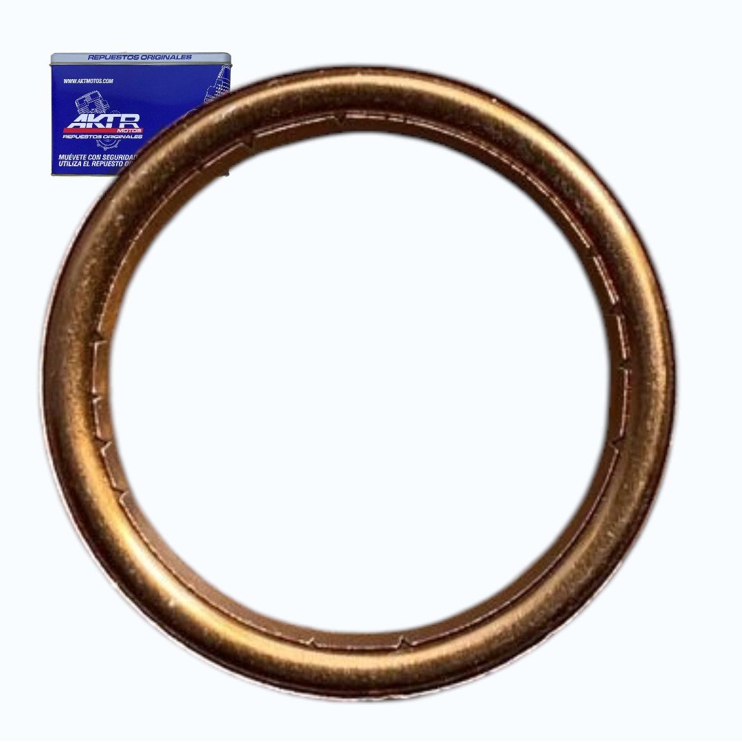 Empaque Mofle AKT TTR 125 150 TT 150 R3 Repuesto Moto-Photoroom Empaque Mofle AKT TTR 125 150 TT 150 R3 Repuesto Moto - Imagen 1