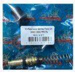 Kit Reparacion Bomba Freno AKT 125Sc 125Scr 150J5