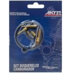 Kit Reparacion Carburador AKT Special 110