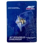Kit Reparacion Carburador 180Ttr/Ttx AKT
