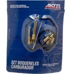 Kit Reparacion Carburador 125Ne AKT