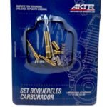 Kit Reparacion Carburador 125Sc AKT 125Scr
