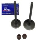 Kit Valvulas 125Cgr AKT 125 Ne 125 R3 125 Ttr