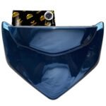 Visor Farola Sin Pint TVS Raider 125 Original