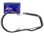 Protector Velocímetro TTR/TTX Rp